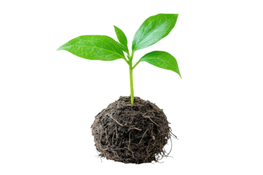 Seedling s First Breath Nurturing Life Hope and Fresh Starts in Earth s Embrace Growth and New - Powered by Adobe