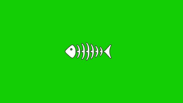 bone animation on chroma key