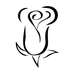 rose flower icon vector