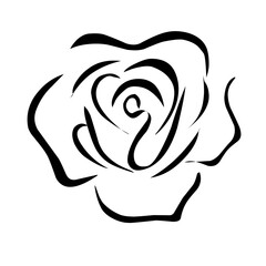 rose flower icon vector