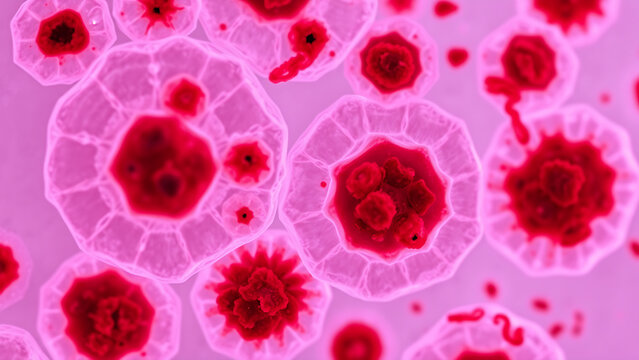 Electron micrograph of pancreatic acinar cells, showing zymogen granules (dark stains) and rough endoplasmic reticulum, scientific staining (granules: red, endoplasmic reticulum: blue)