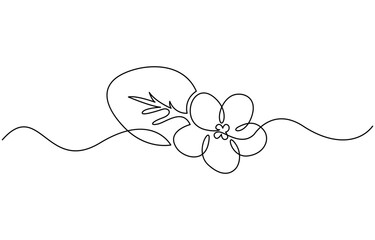 An illustration of a Saintpaulia flowering plant on a white background, African violet in continuous line art drawing style, Saintpaulia flowering plant black linear sketch isolated on white backgroun