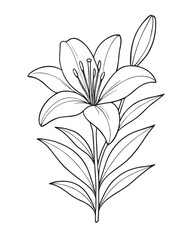 Detailed line art illustration of a lily flower