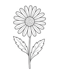 Line Art Daisy Flower