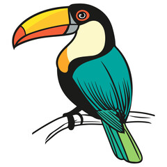 Obraz premium toucan, animal, vector, transparent background, bird, beak, tucan, nature, tropical, exotic, wildlife, jungle, feather, zoo, isolated, Ramphastidae