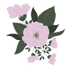 Bouquet of large white flowers painted by hand. Botanical ornament for fabrics, textiles, packaging and wallpaper. Vector illustration.