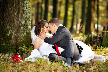 A couple is sitting in the grass, with the bride wearing a white dress