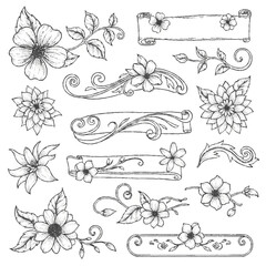 Collection of hand-drawn floral and scroll designs, perfect for graphic elements.