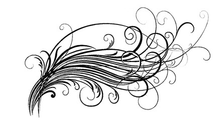 Fototapeta premium Ornate, flowing feather-like design with decorative swirls and lines.
