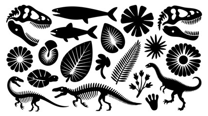 Black silhouette of dinosaurs, fish, plants and fossils vector illustration for paleontology design art