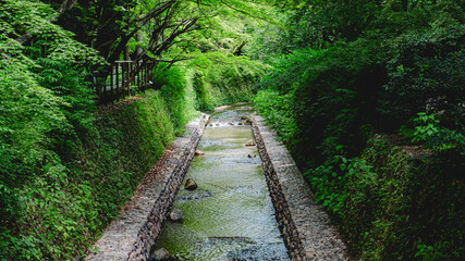 小川