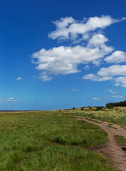 Obraz premium The lower Beach Footpath along the south side of the Tay Estuary at Tentsmuir National Nature Rerve on a sunny day in June.