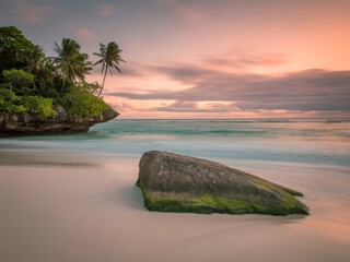 Naklejka premium Tropical island beach serene ocean sunset palm trees