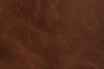 Exploring the Surface Pattern of Leather Material