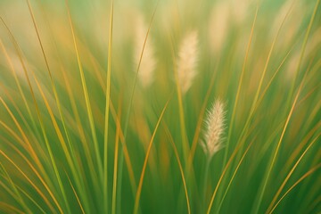 Serene abstract scene featuring graceful tall grass reeds perfect for a peaceful desktop wallpaper
