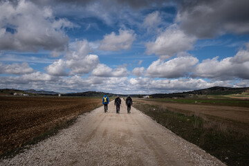 ronda trek