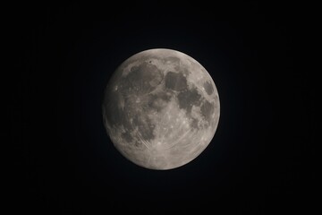 Fototapeta premium The lunar glow illuminating the night sky