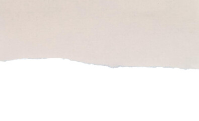 Paper different scraps set ripped page piece. Torn note paper page. Ripped note notebook grainy paper strips stuck. Paper different scraps, ripped page piece. White paper ripped message background. T
