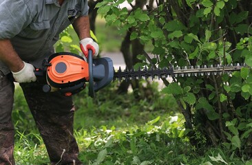a gardener uses a saw to level a hedge in a landscape design