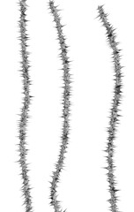 A striking 3D render showcasing multiple strands of abstract metallic thorn wire, each featuring a continuous pattern of sharp, reflective spikes.