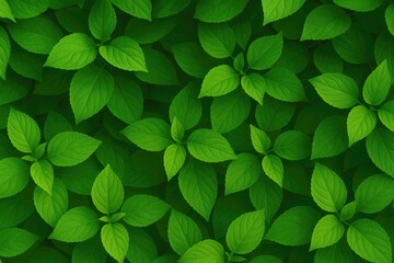 Lush green natural scenery as the backdrop