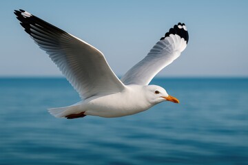 Fototapeta premium Bird soaring over tranquil pond scene