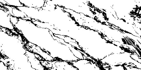 Fototapeta premium Generate a high-resolution, realistic image of a white marble slab with intricate black veining. Focus on capturing the natural flow and organic patterns of the veins.