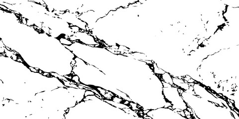 Generate a high-resolution, realistic image of a white marble slab with intricate black veining. Focus on capturing the natural flow and organic patterns of the veins.