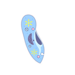 Paramecium, unicellular organism, microscopic life, science