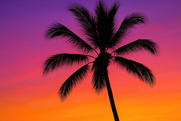 Vivid sunset shadow of a palm tree