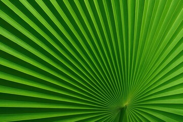 Obraz premium Detailed close-up of a palm leaf in artwork style