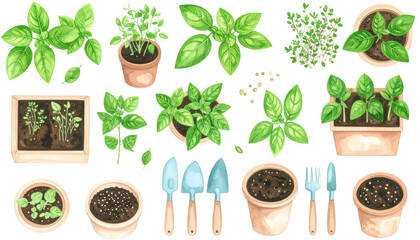 herb, pot, garden, various, vibrant, color, plant, soil, leaf, green, sunlight, process, design, landscape, trowel, flora, rake, floral, flower, hoe, water, compost, nature, terrace, foliage