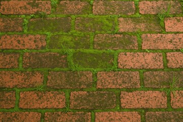 Obraz premium Vintage red brick wall overgrown with moss and grass in an Asian setting
