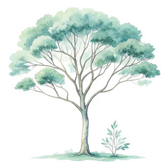 Green Tree Botanical Landscape Minimal Clipart Watercolor 