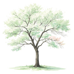 Green Tree Botanical Landscape Minimal Clipart Watercolor 
