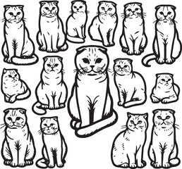 Scottish Fold Cat Vector in black and white