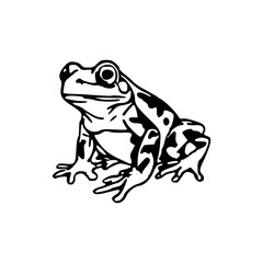 graphic spotted frog design