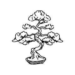 elegant oriental bonsai tree sketch