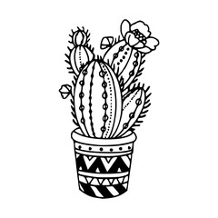 hand-drawn succulent in decorative pot