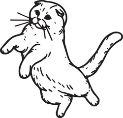 Scottish Fold Cat Vector in black and white