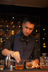Professional male bartender preparing alcoholic drinks in a bar