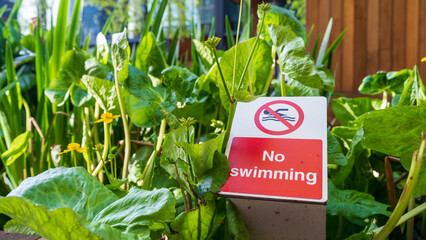 Red no swimming warning sign surrounded by large green pond plants