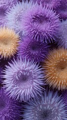 Surreal purple and gold sea urchins, vibrant marine wonders, celebrate Poseidon's Festival, embodying ancient sea lore revival