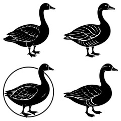 Illustration of four black geese in various poses with one inside of a circle design element