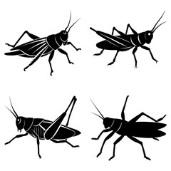 Four grasshoppers in black silhouette with detailed legs and antennae on a white background illustration