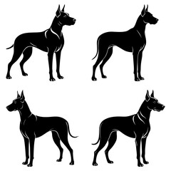 Four black great dane dogs standing in different poses with white outline on a white background design