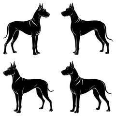 Four black silhouette illustrations of great dane dogs standing in various positions on a white background