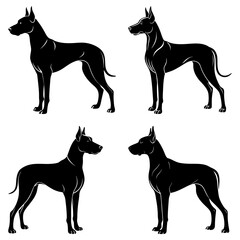 Four stylized black silhouette illustrations of a dog breed standing in various positions on a white background