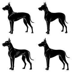 Four black silhouette depictions of great dane dogs standing in various poses on a white background