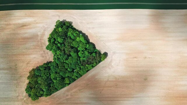 Green forest patch in a heart shape captured from above, isolated on brown farmland.